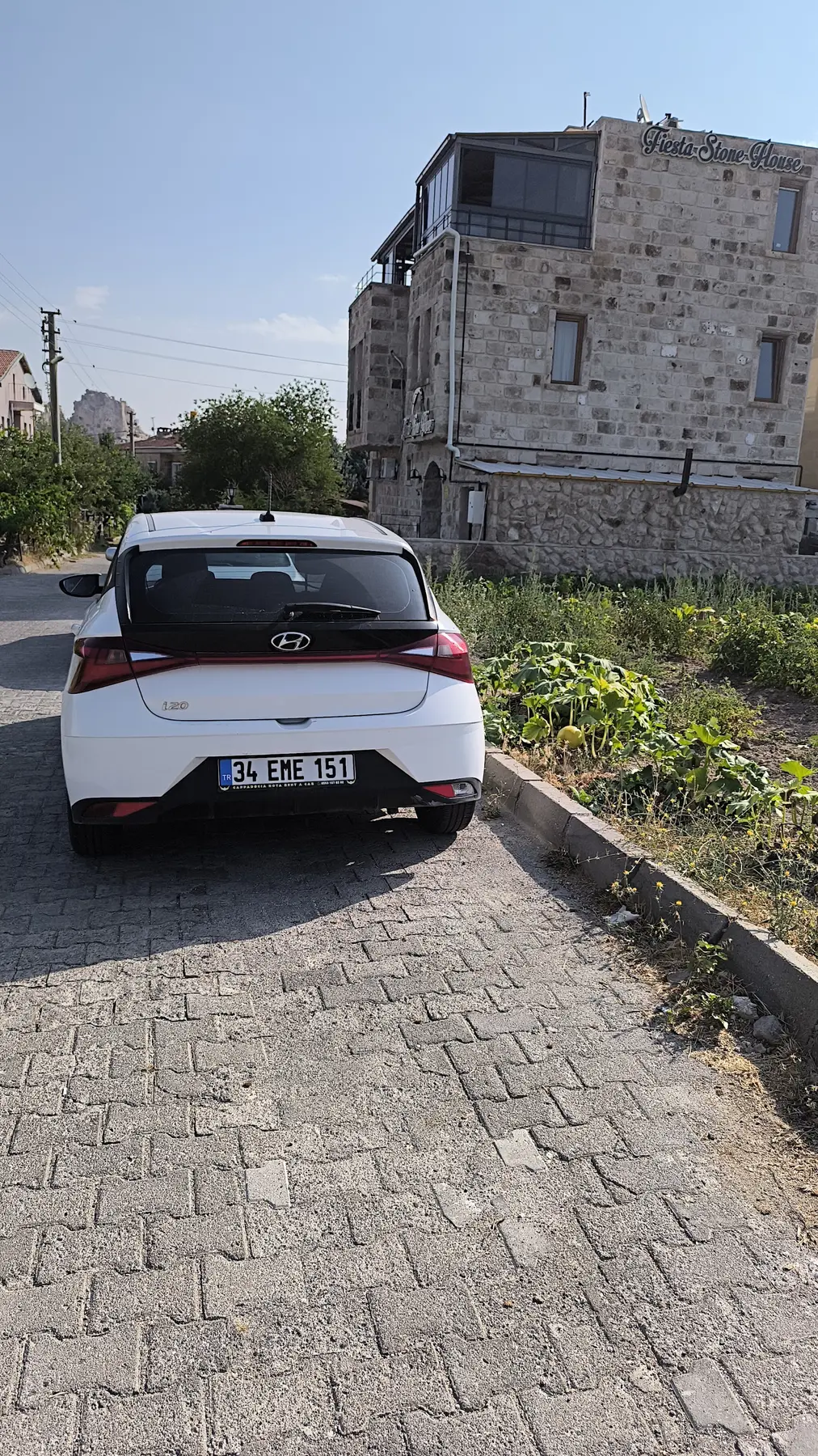 White car delivery business view